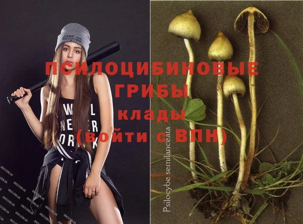 мдма Богородицк