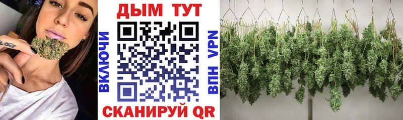 Купить закладки  Мантурово  Шишки марихуана Amnesia 